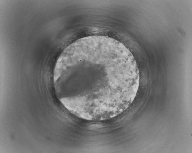 X0000114390653200911271459