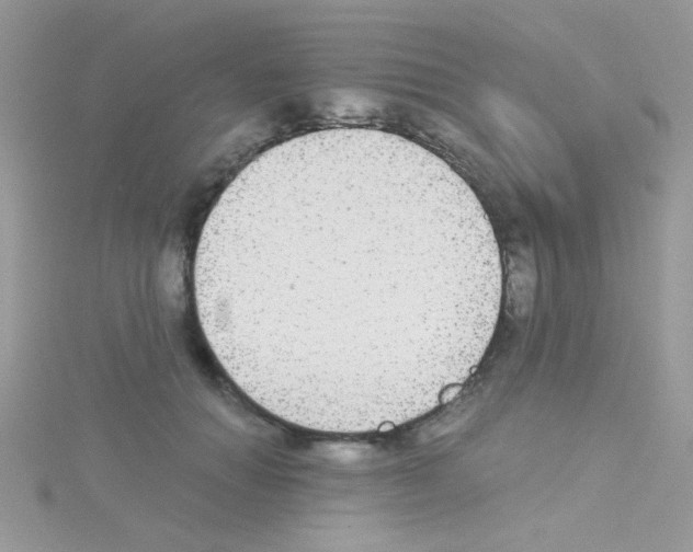 X0000114390654200911271459