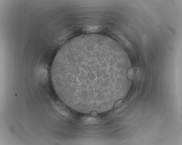 X0000114390655200911271459