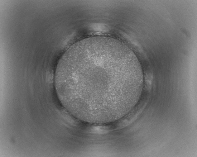 X0000114390657200911271459