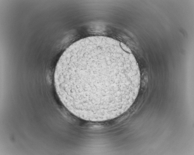 X0000114390658200911271459