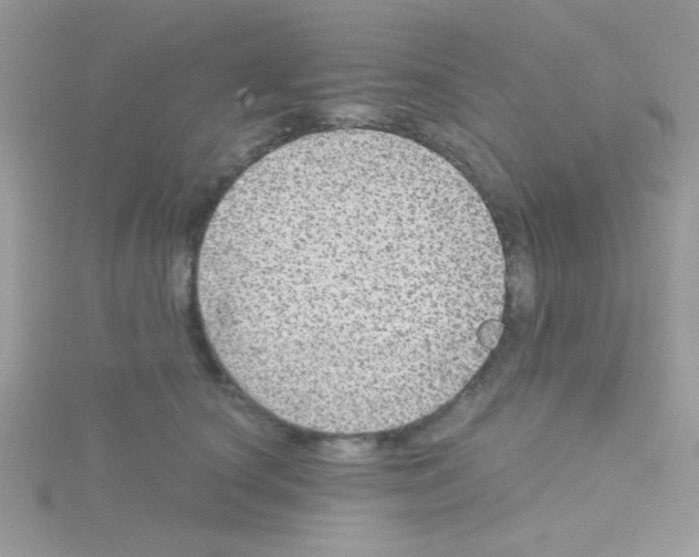 X0000114390660200911271459