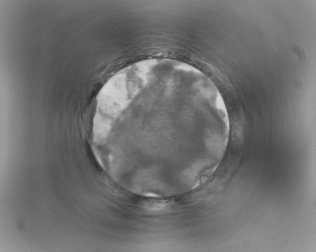 X0000114390661200911271500