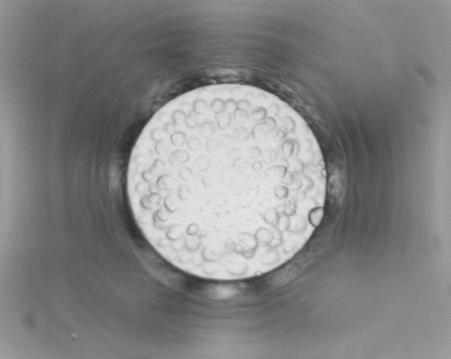 X0000114390662200911271500