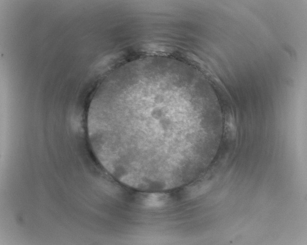 X0000114390663200911271500