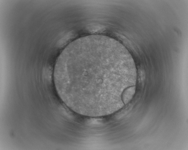 X0000114390664200911271500