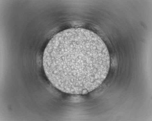 X0000114390666200911271500