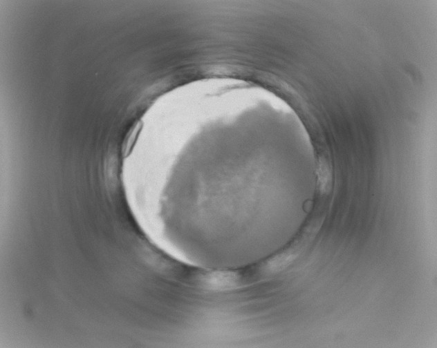 X0000114390670200911271500