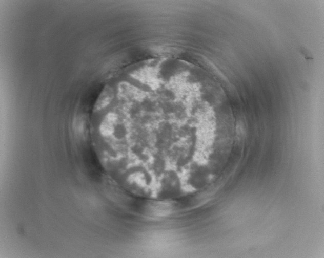 X0000114390671200911271500