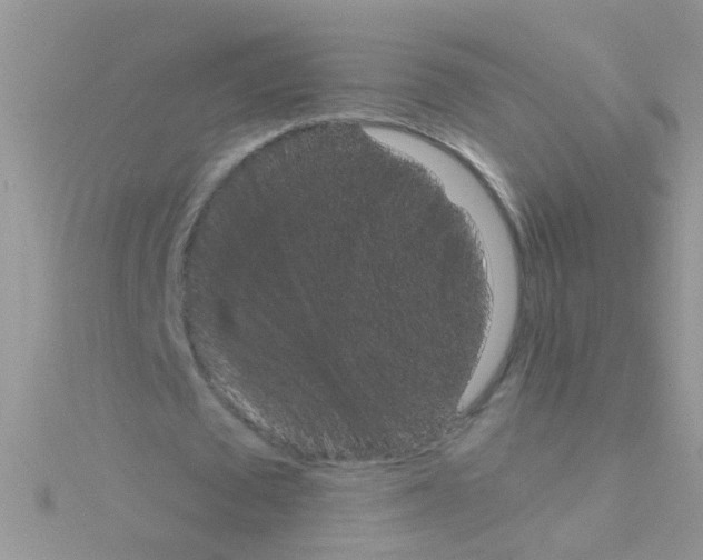 X0000114390673200911271459