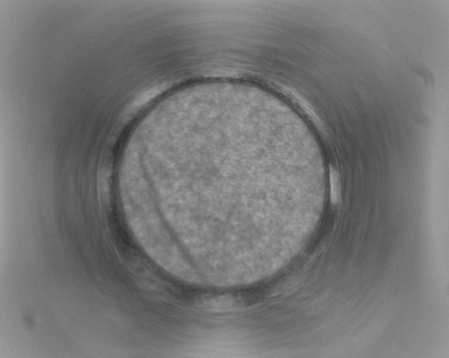 X0000114390675200911271459