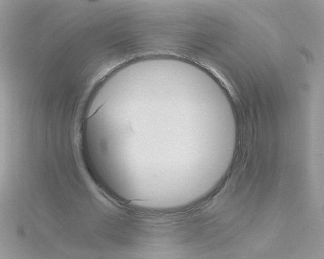 X0000114390677200911271459