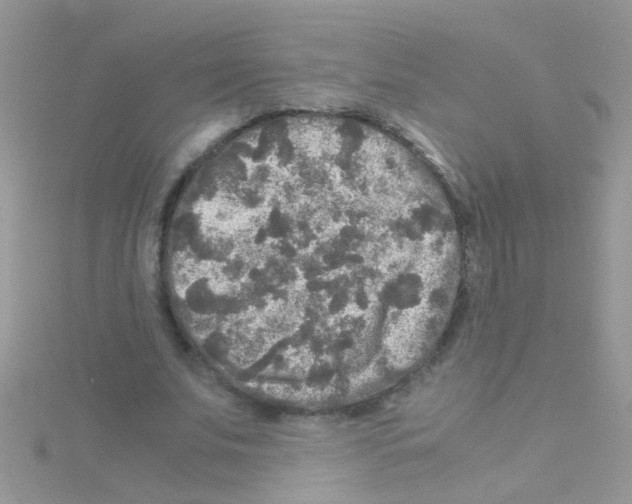 X0000114390679200911271459