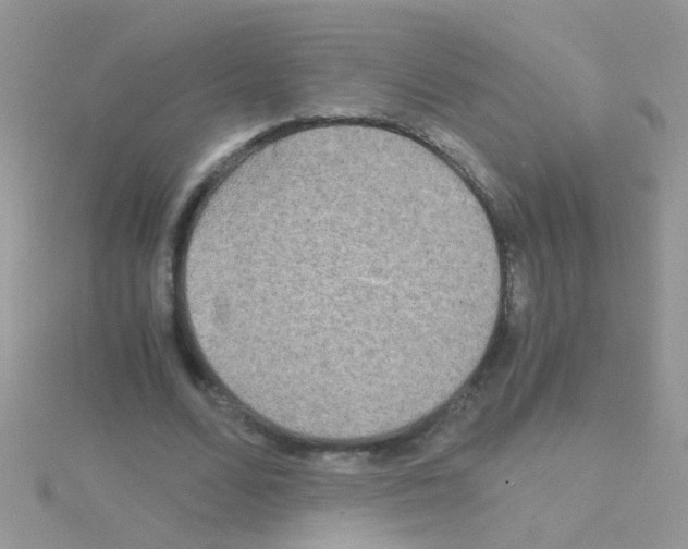 X0000114390680200911271459