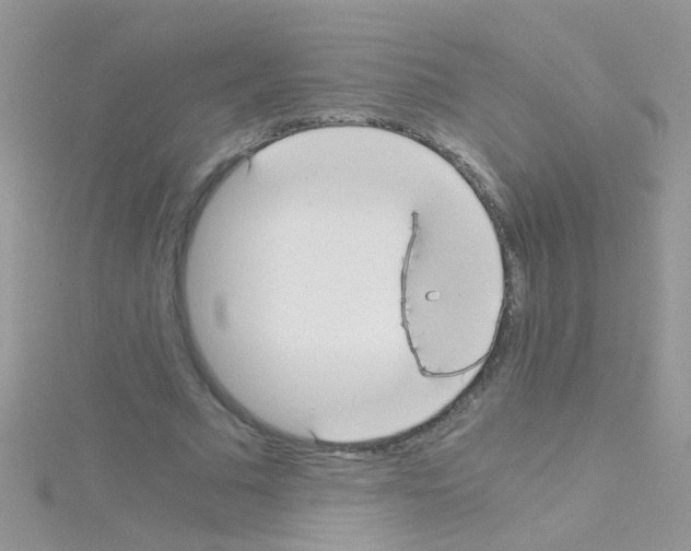 X0000114390681200911271459