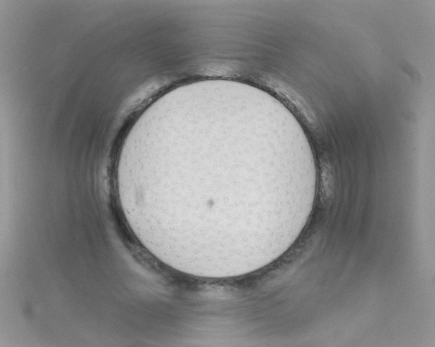 X0000114390682200911271459