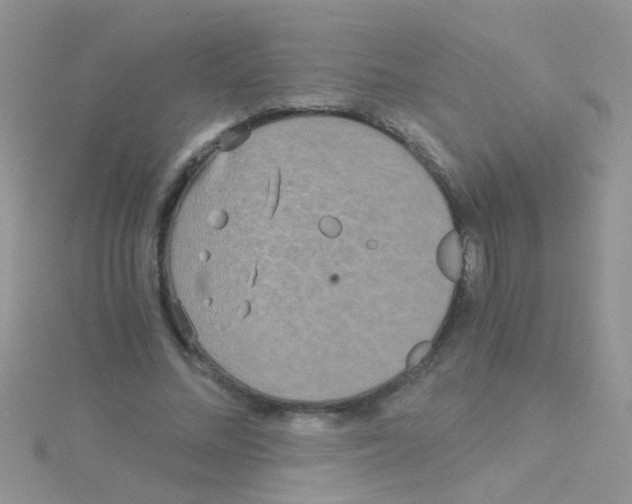 X0000114390684200911271459