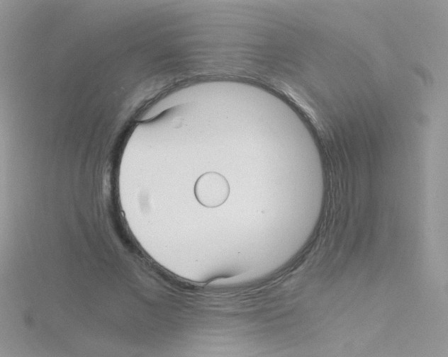 X0000114390685200911271459