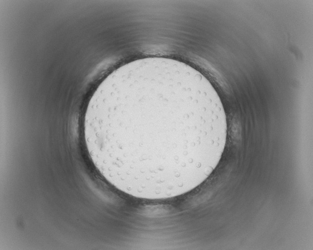 X0000114390686200911271459