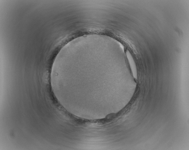 X0000114390689200911271459