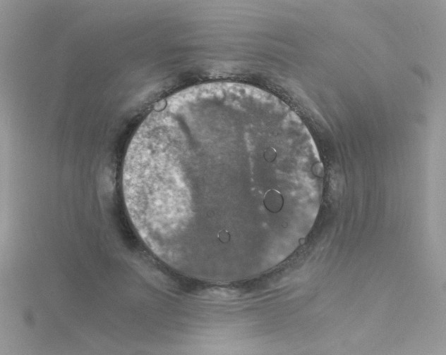 X0000114390691200911271459