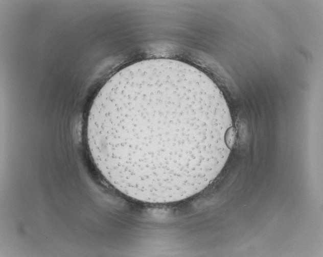 X0000114390694200911271459