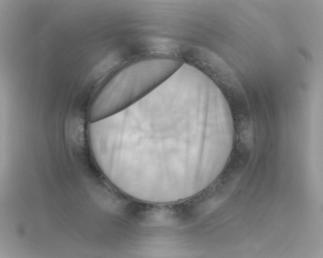 X0000114390696200911271459