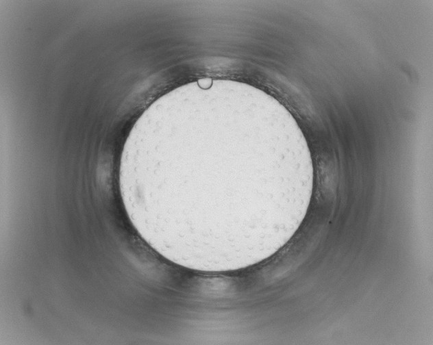 X0000114390698200911271459