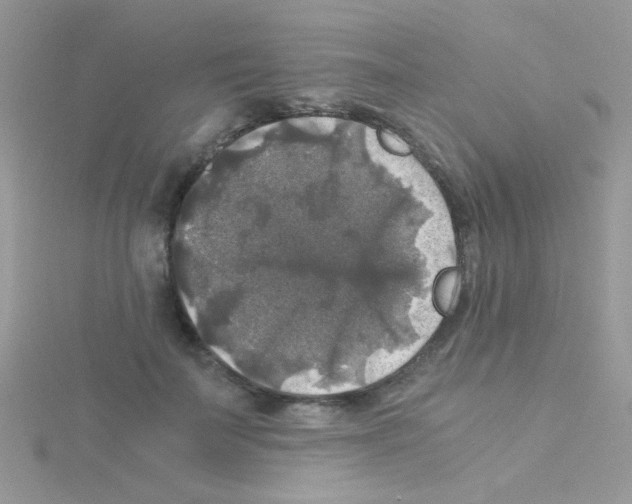 X0000114390699200911271459