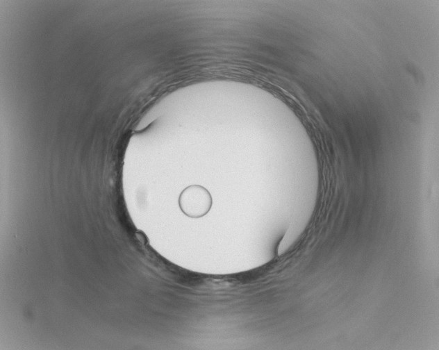 X0000114390701200911271459