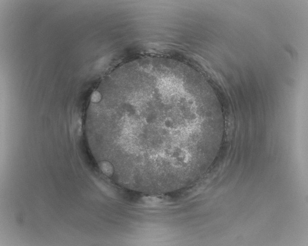 X0000114390703200911271459