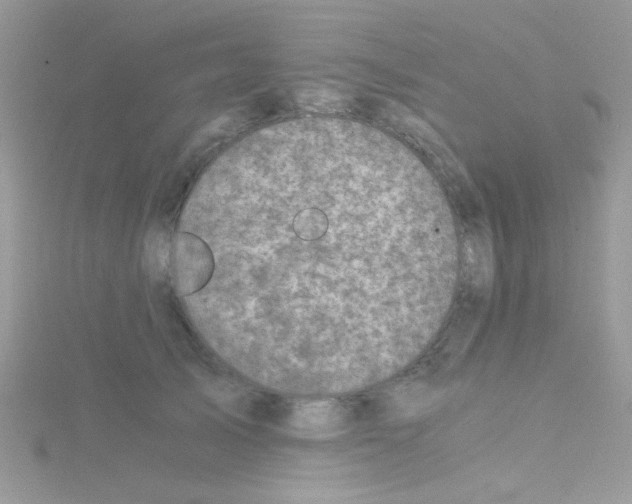 X0000114390705200911271459