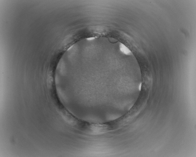 X0000114390707200911271459