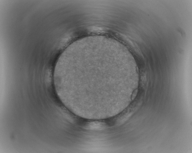 X0000114390708200911271459