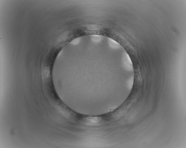 X0000114390711200911271458