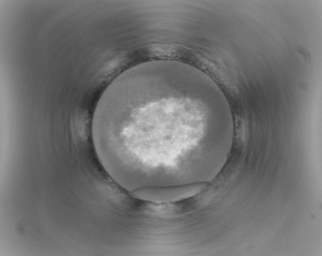 X0000114390712200911271458