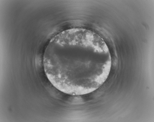 X0000114390715200911271458