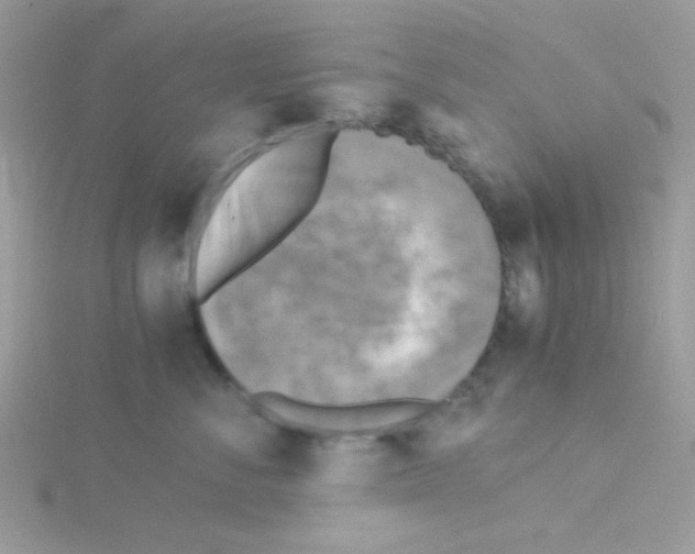 X0000114390716200911271458