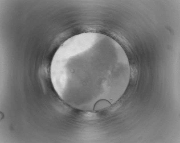 X0000114390718200911271458