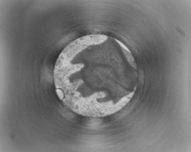 X0000114390719200911271458