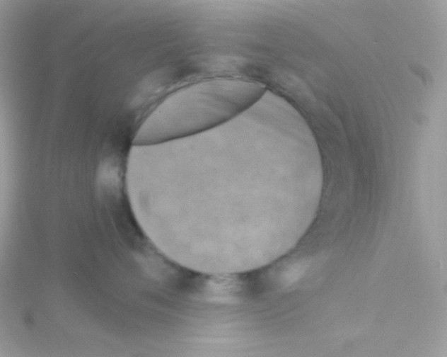 X0000114390720200911271458