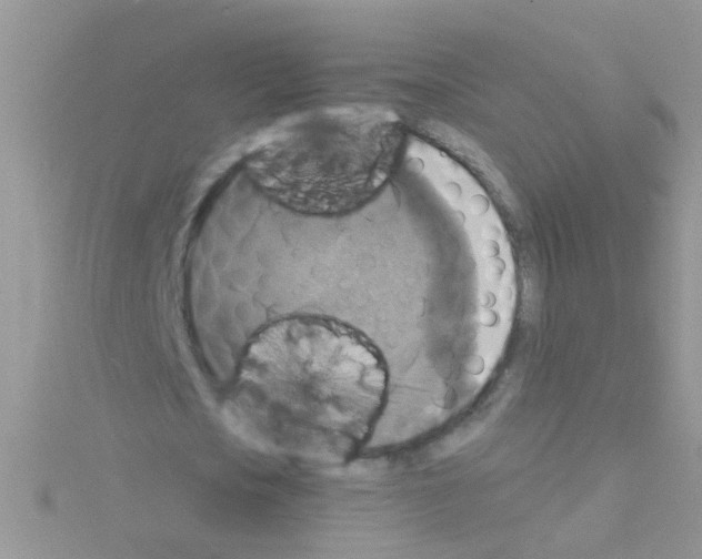 X0000114390721200911271457