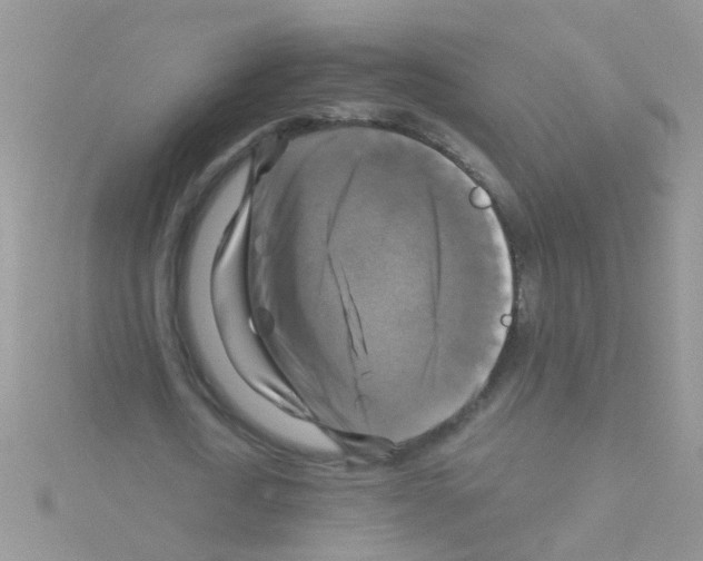 X0000114390722200911271457