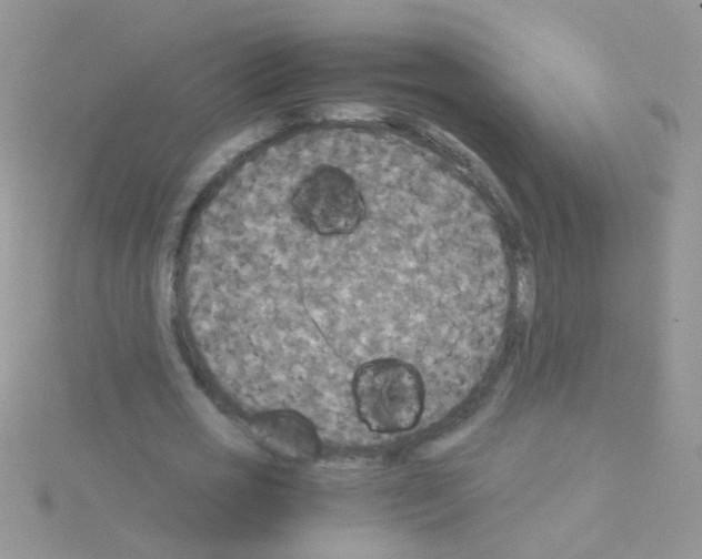 X0000114390725200911271458