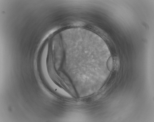 X0000114390726200911271458