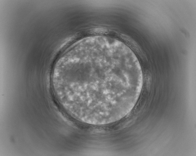 X0000114390729200911271458