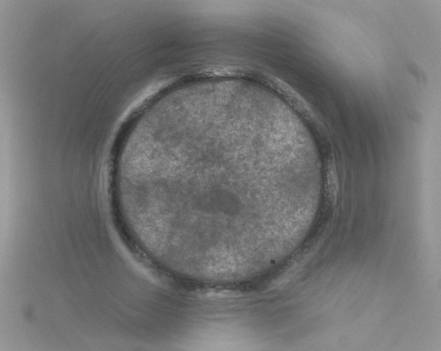 X0000114390730200911271458