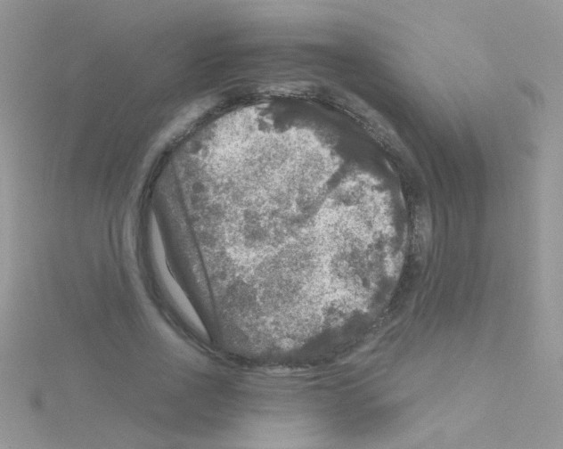 X0000114390734200911271458