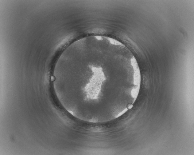 X0000114390735200911271458