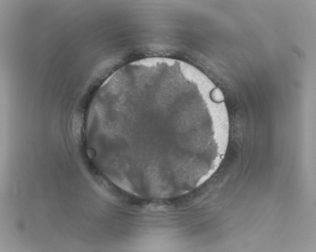 X0000114390742200911271458